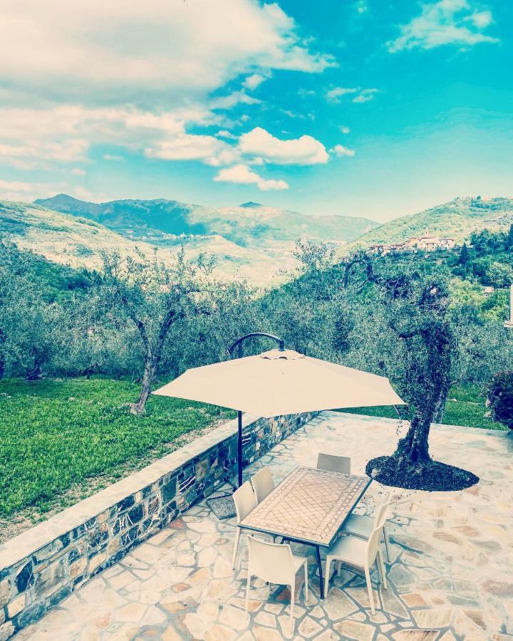 Casa Vacanze Gli Ulivi Borgomaro Экстерьер фото