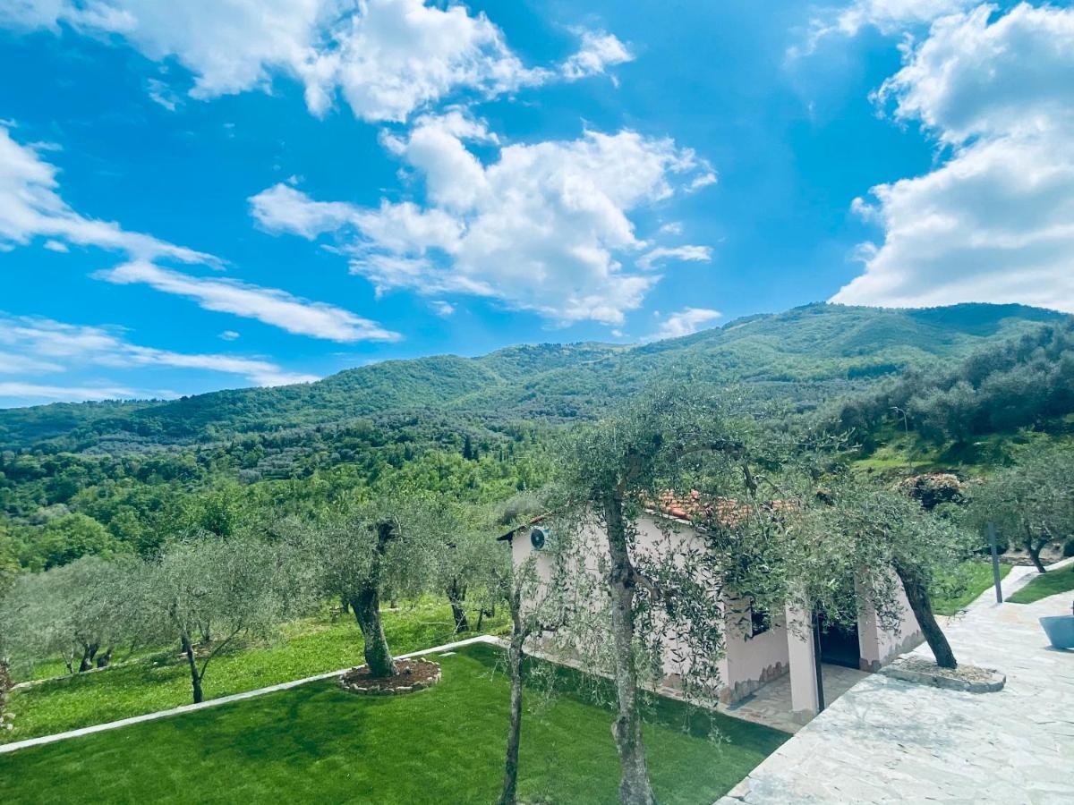 Casa Vacanze Gli Ulivi Borgomaro Экстерьер фото