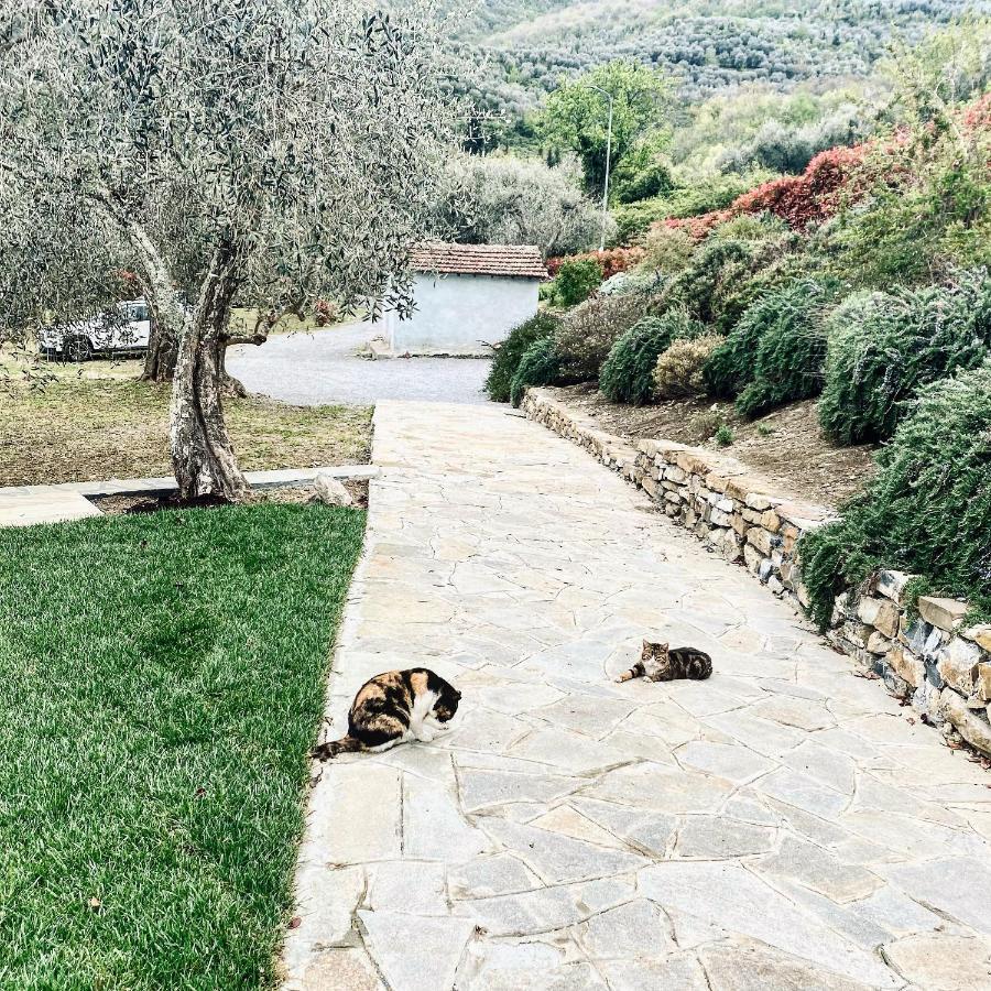 Casa Vacanze Gli Ulivi Borgomaro Экстерьер фото