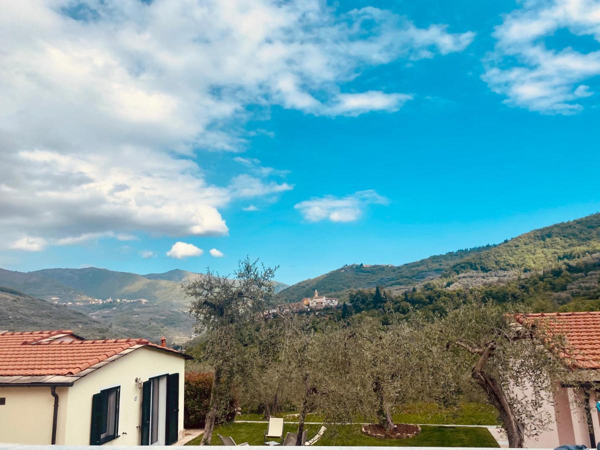 Casa Vacanze Gli Ulivi Borgomaro Экстерьер фото