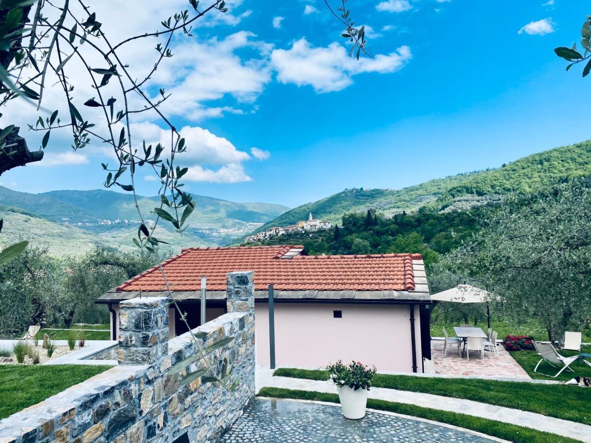 Casa Vacanze Gli Ulivi Borgomaro Экстерьер фото