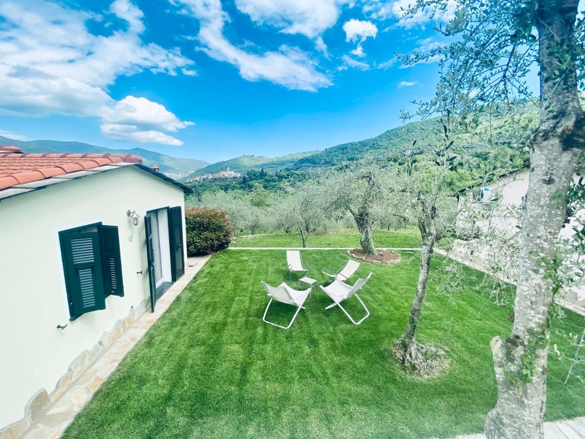 Casa Vacanze Gli Ulivi Borgomaro Экстерьер фото