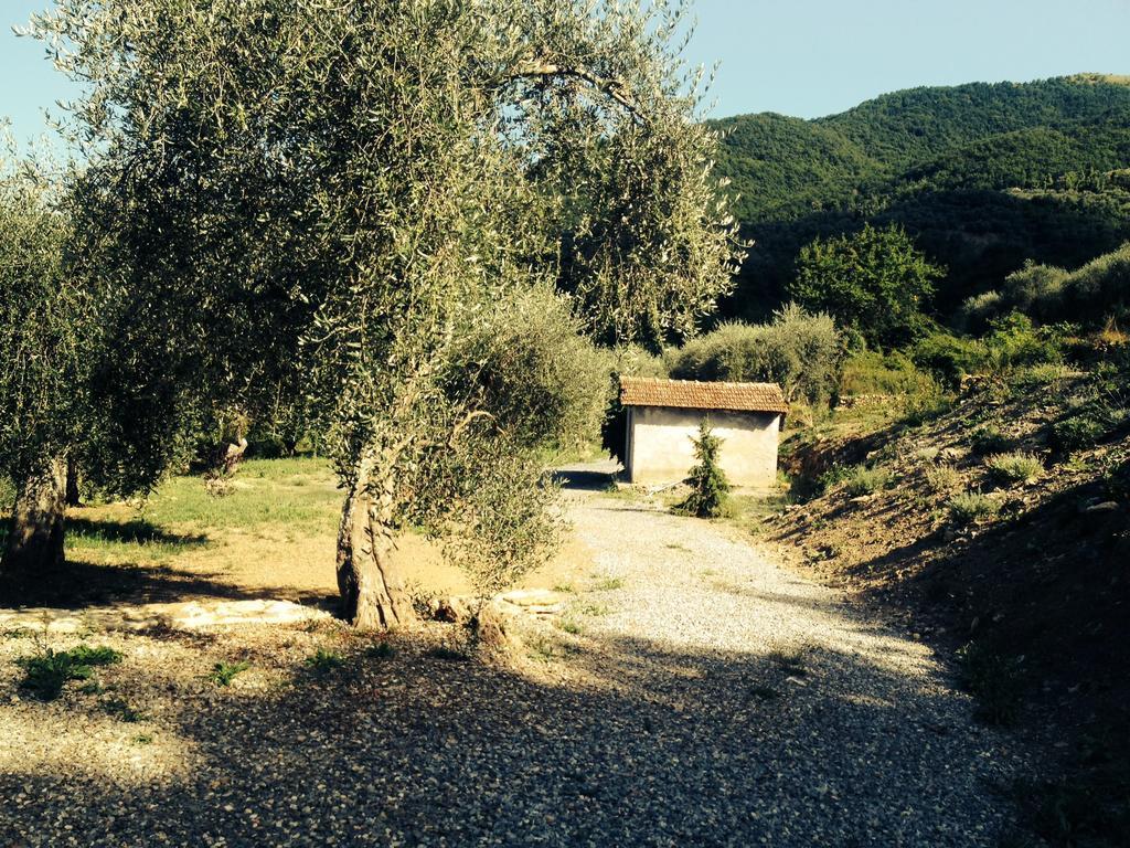 Casa Vacanze Gli Ulivi Borgomaro Номер фото