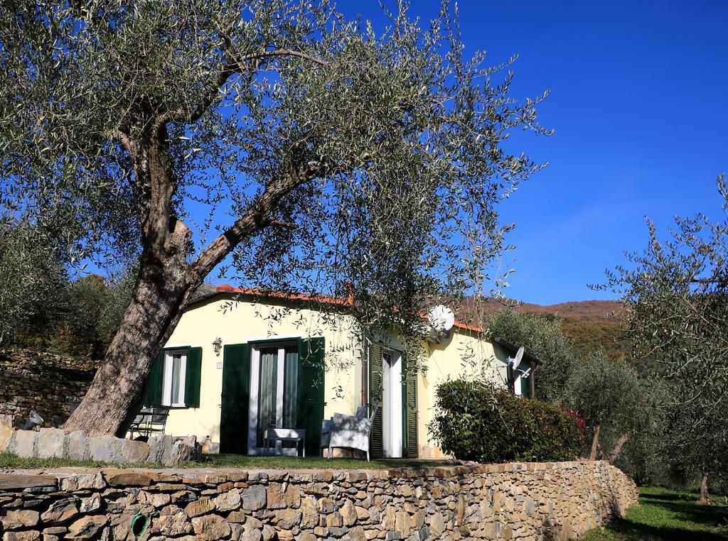 Casa Vacanze Gli Ulivi Borgomaro Экстерьер фото