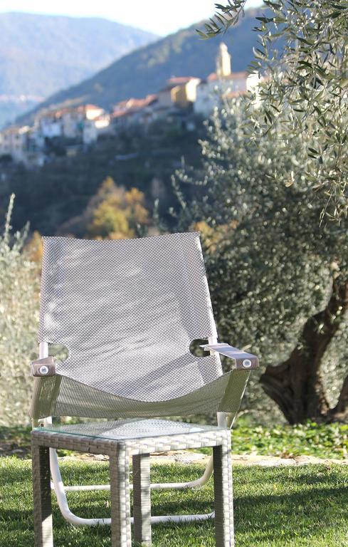 Casa Vacanze Gli Ulivi Borgomaro Экстерьер фото